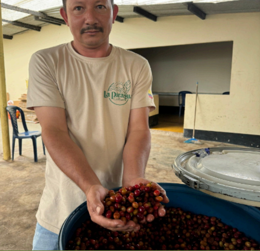 Colombia, La Piragua (Microlot)